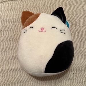 Cam the Cat 8 Inch Squishmallow